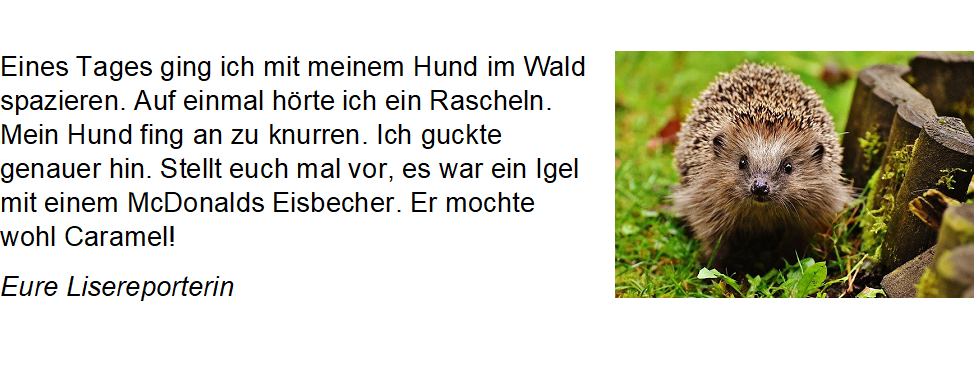 Eine_Begegnung_im_Wald.png